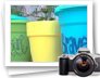 photo gallery