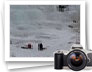 photo gallery
