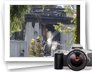 photo gallery