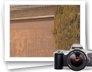 photo gallery