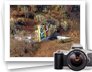 photo gallery