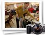 photo gallery