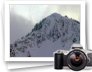 photo gallery