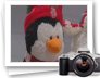 photo gallery