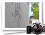 photo gallery