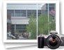 photo gallery