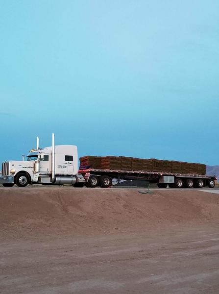 BAREFOOT FRIENDLY SOD...