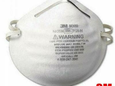 3M 8000 N95 Mask