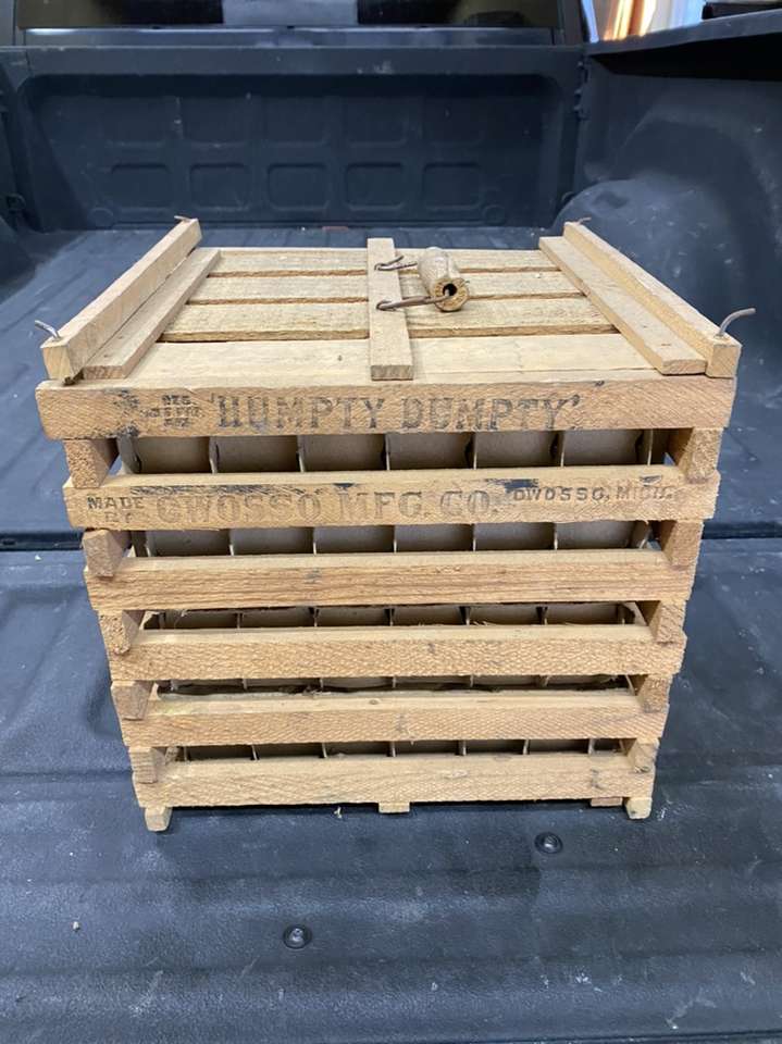 Humpty Dumpty Egg Crate / Carrier
