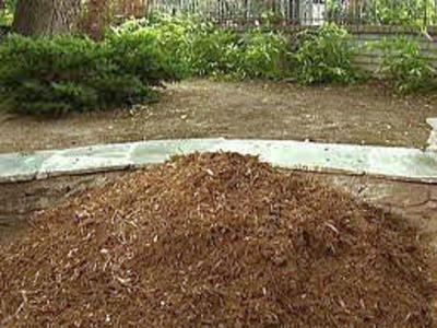 Mulch/Woodchips ON SALE