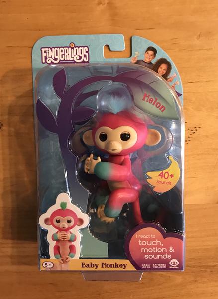 Fingerling Baby Monkey Melon!