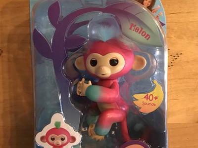 Fingerling Baby Monkey Melon!