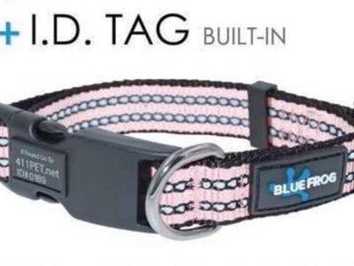 Small Dog Collar w/built in ID Tag