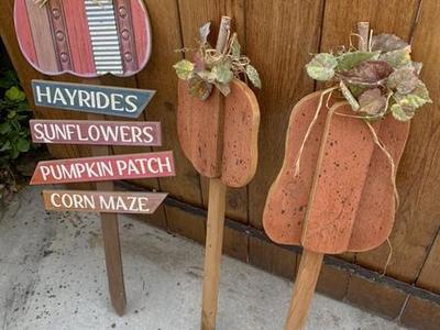 Pumpkin Decorating Set