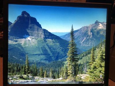 Dell 1907FPc 19in; 1280X1024 4-USB 2.0 700:1 8ms