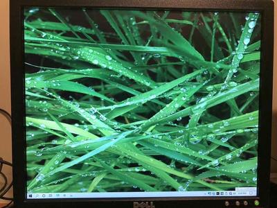 Dell E177FP 17 LCD 1280 x 1024 800:1 CR 5ms Resp