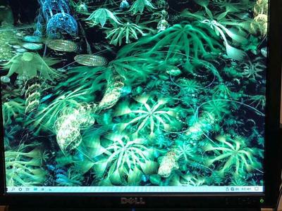 Dell E170SB-17 LCD 800:1CR w/ Integrated Speakers