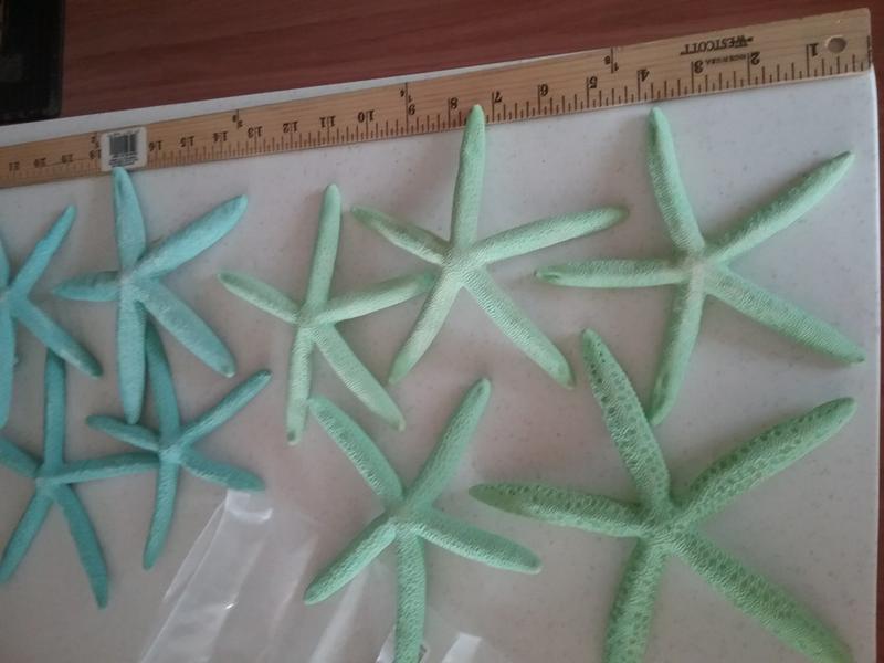 starfish