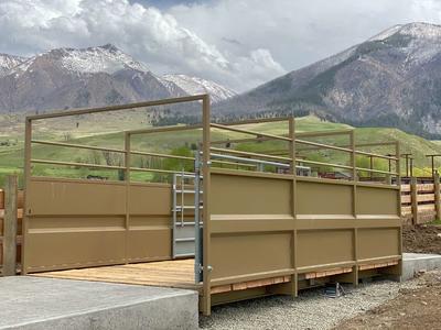 20x10 Group Livestock Scale