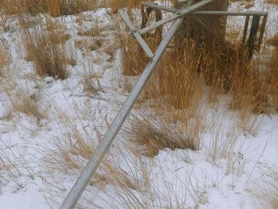 Horse Racing Chariots