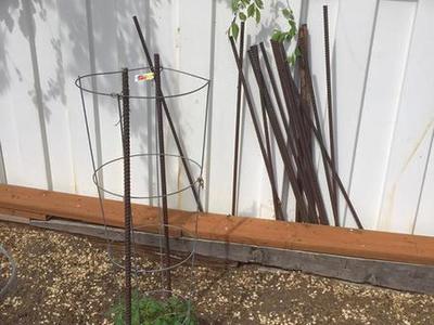 Tomato Cage Rods