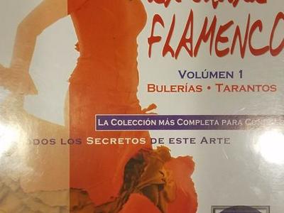 El baile flamenco beginning/intermediate
