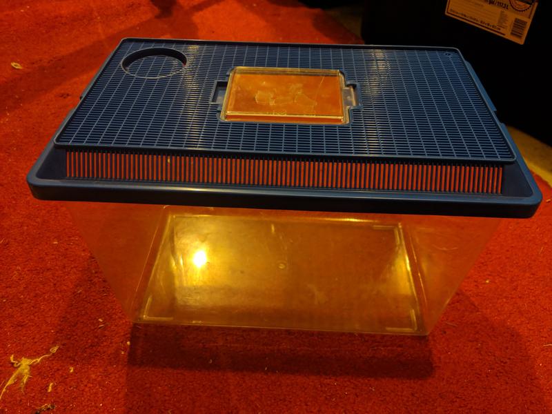 small pet fish container carrier