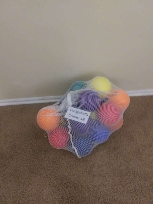 Dodgeball rental