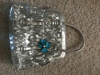 Silver bag