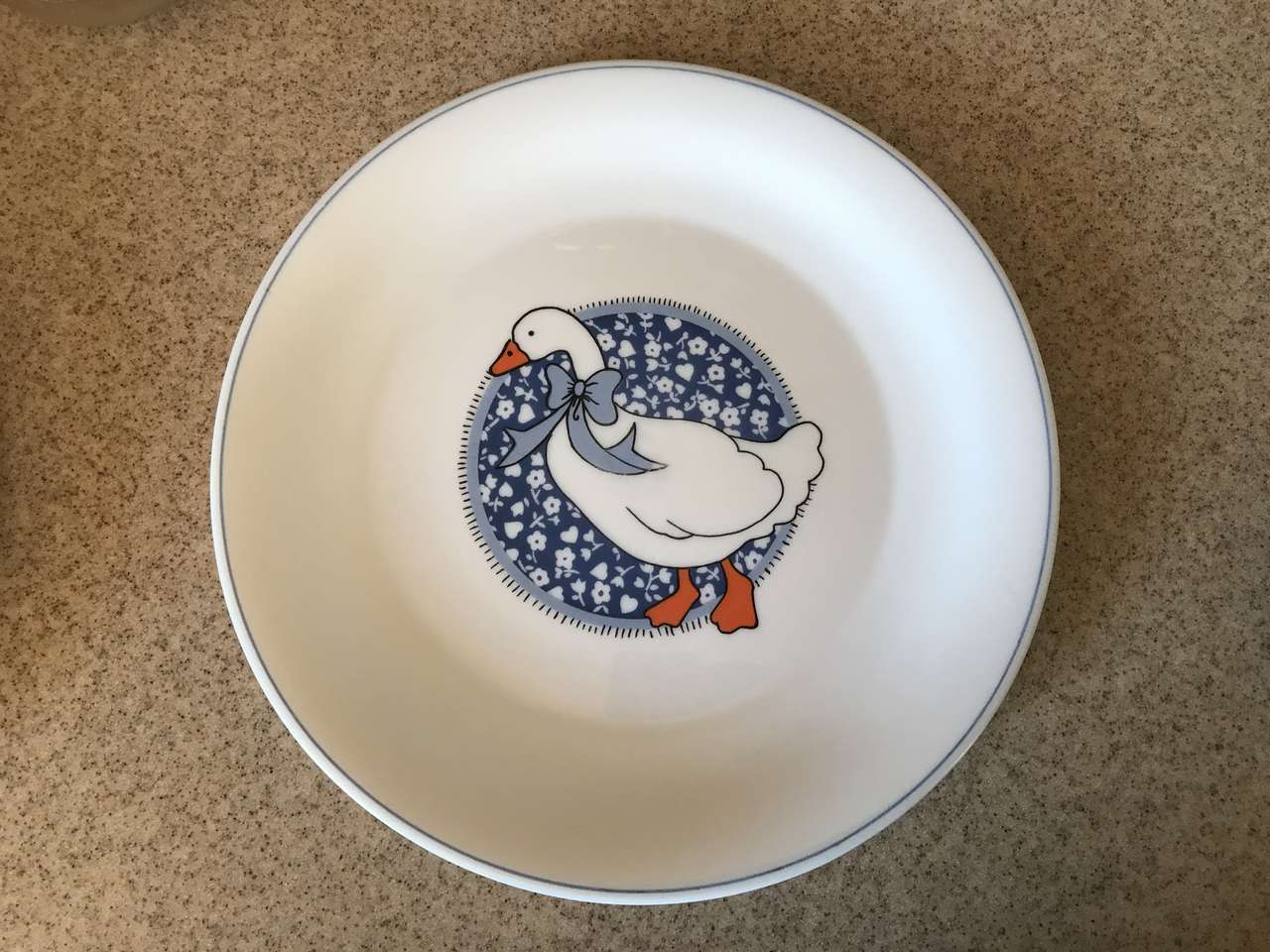 Arcopal France Plates set of 8 Dinner Plates, 8 Salad Plates, 9 Cups