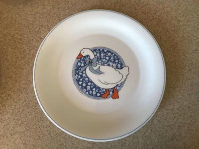 Arcopal France Plates set of 8 Dinner Plates, 8 Salad Plates, 9 Cups