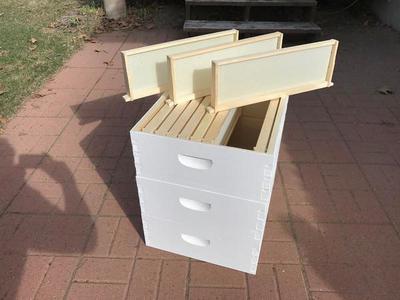 Medium Depth Supers for Beehive, 10 frames & found