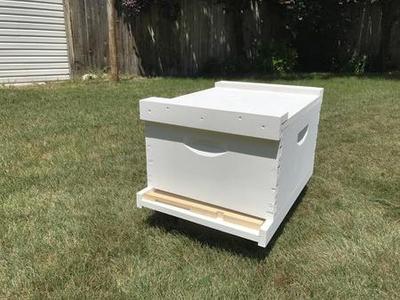 Basic Beehive Starter Kit, Single Deep Super