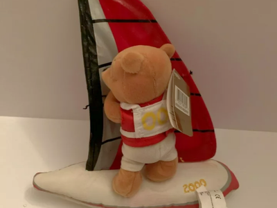 New Winnie the Pooh Windsurfer