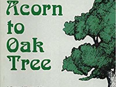 From Acorn to Oak Tree: S. American Missions