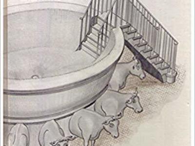 Rediscovery of the Nauvoo Temple