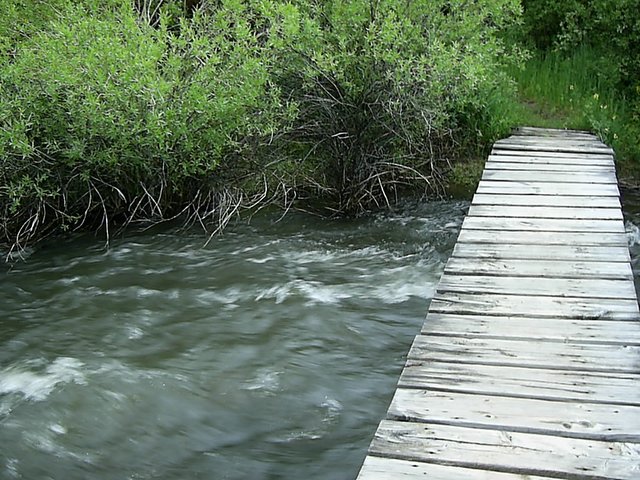 story image