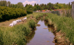 story image