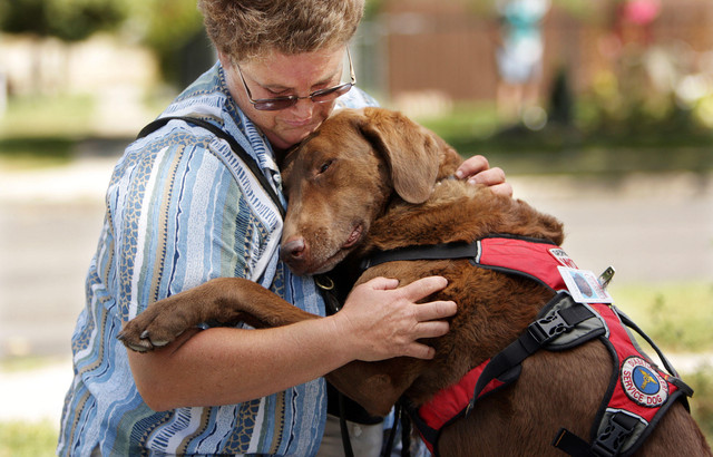 how dogs help humans information