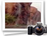 photo gallery