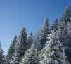 story image