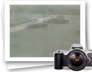 photo gallery