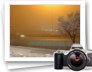 photo gallery