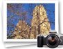 photo gallery