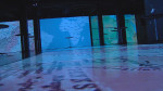 story image