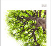 story image