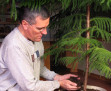story image
