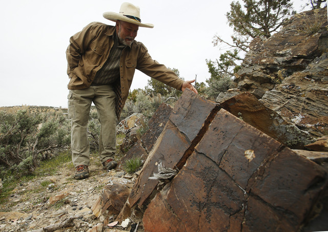 Utah activists sit on shooting sites to protect petroglyphs
