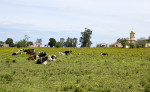 story image