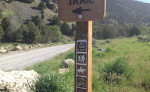 story image